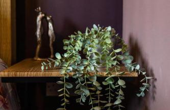 The Woodland Lodge - Wood Fired Hot Tub and Firepit - Foto 19