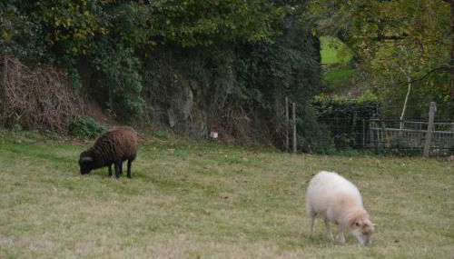 Maison de Vacances - Photo 5