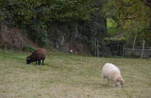 Maison de Vacances - Photo 5