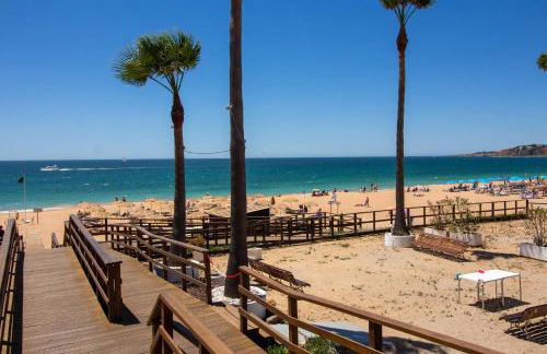 Barracuda A14 - Foto 39