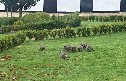 Winstitchen Cottage situated near the River Barle - Foto 26