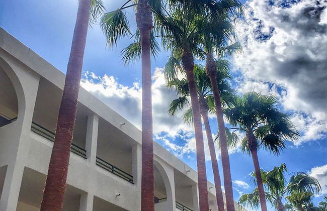 Mallorca Cecilia - Photo 63