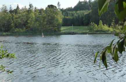 Ferienwohnung Kollmann - Foto 18