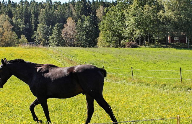 6 Person Holiday Home in Stjarnhov-by Traum - Foto 28