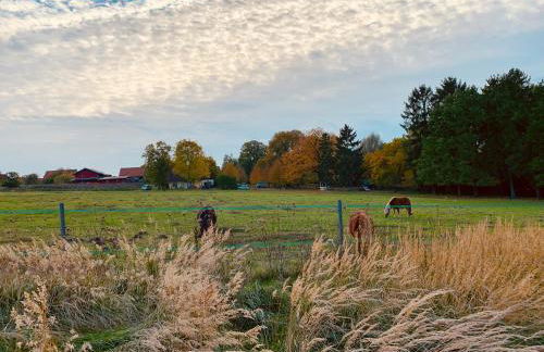 Blick ins Grüne- Premium-FeWo - Foto 35