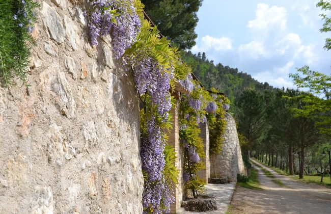 Agriturismo Istrice Innamorato - Foto 52