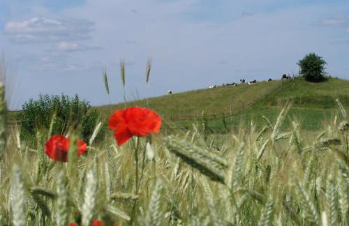 Kamienny Ogród Holiday Park - Foto 98