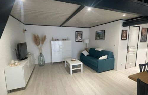 Chez Chacha Rod au cœur de la champagne - Foto 1