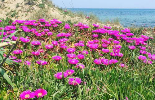 Salento Appartamenti - Foto 25