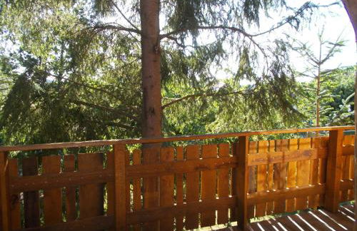 Baumhaus Wolfshöhle - Foto 10