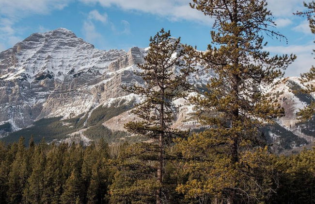 Skyridge Glamping - Foto 44