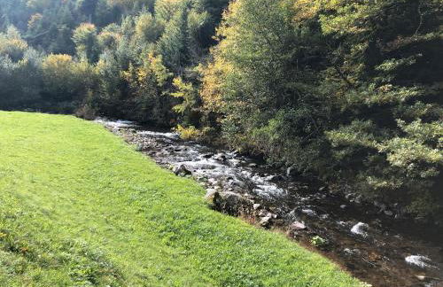 2 Zimmer Wohnung, mit Sonnenterasse - Foto 32