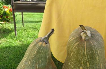 Casa do Quintalão - Foto 52