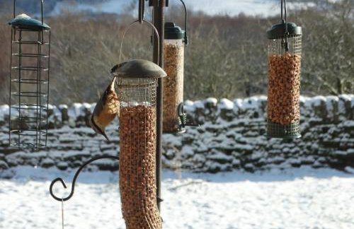 Pant Llwyd Farm - Foto 21