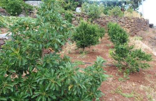 Vivenda da Natureza - Foto 70