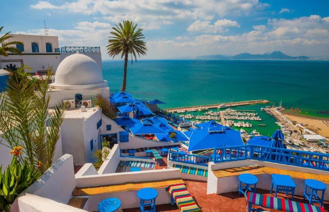 Intera giornata a Cartagine, Sidi Bou Said e la Medina di Tunisi da Hammamet - Foto 1