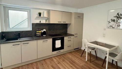 1-Zimmer-Appartment ruhig & naturnah - Foto 2, stove, dishwasher, toaster