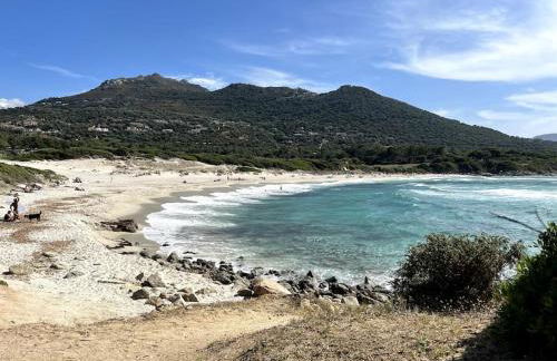 Grand T2 classé 3 étoiles dans résidence de standing - Foto 33