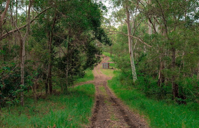 Whispering Valley Cottage Retreat - Photo 45