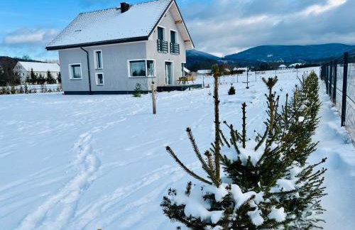 Polny Domek - Foto 60