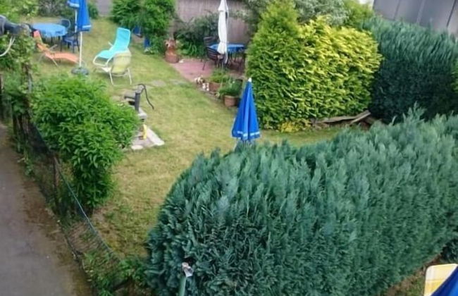 Ferienwohnung Langelsheim - Foto 50