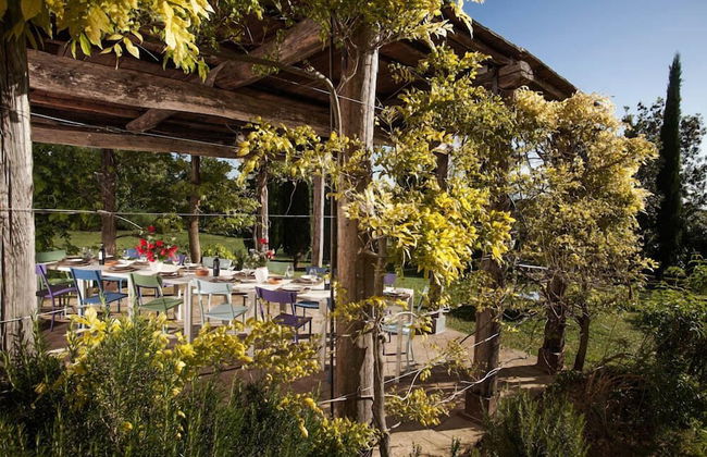 Verdidea - PODERE MONTI - Photo 78