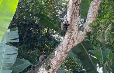 Apartamento 03 · Aeroporto/ Rodoviária - Com Conforto - Foto 35