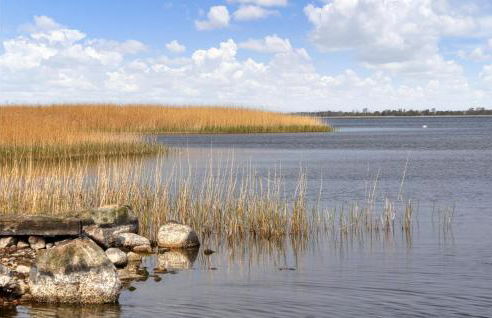 Poolhaus 2 In Hohendorf - Photo 56