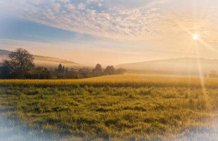 Gemütliche 1-Zimmer-Wohnung im Hildesheimer Wald - Foto 11