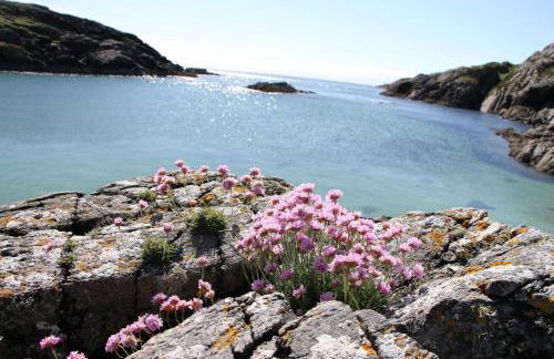 Myrtle Cottage - Foto 23