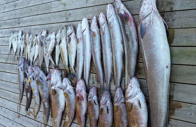 Holiday Home in UrangsvÃ¥g - Foto 31