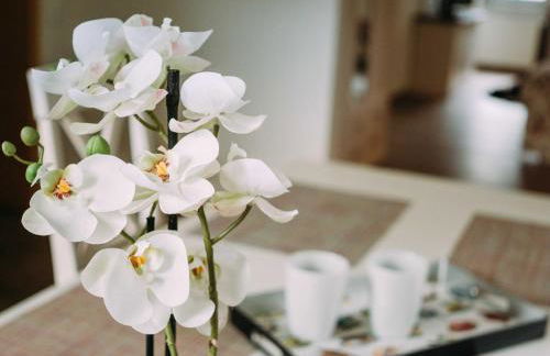 Ferienwohnung Worpsweder Schlösschen - Foto 26