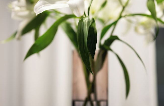 Native Apartments Kościuszki 39 - Photo 12