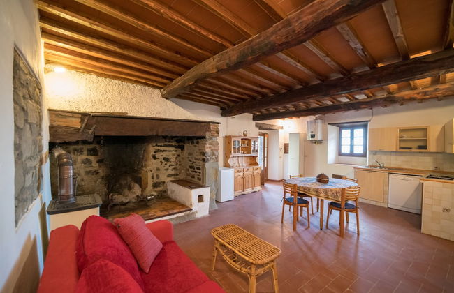 Fattoria di Cintoia - Photo 35