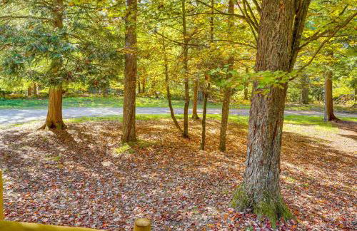 Private Deck and Fire Pit Adirondack Family Home - Foto 34