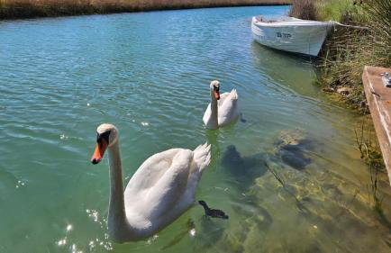 Holiday Home Borna - Foto 39