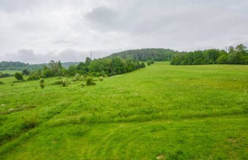 Domki w Bieszczadach - Foto 11