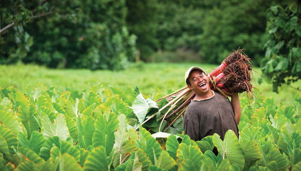 Tour por Rarotonga - Foto 4, Descubriendo el estilo de vida de los locales