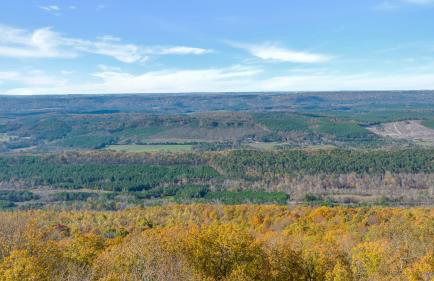 The Lodge in Mentone - Foto 49