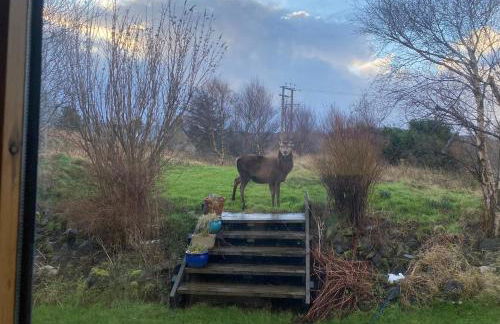 Arisaig Holiday Apartment - Foto 35