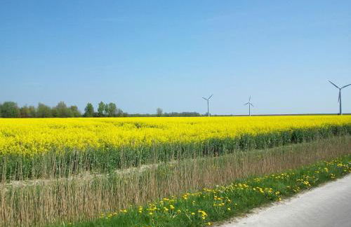 Landhaus op de Warft - Foto 50