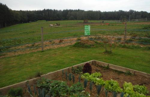 Holiday Home Near Lake and Leisure in Clos du Bannet - Foto 53