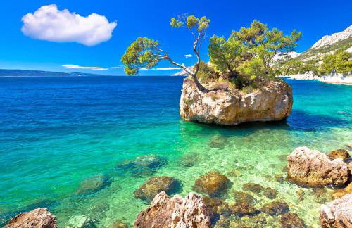 Holiday home Perunika - Foto 52