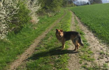 Ferienhaus - 135 qm - 3 SZ - 2 Terrassen - Nähe Insel Poel Ostsee - Foto 46