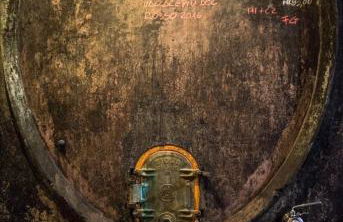 Villa Redona - Photo 18