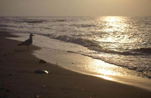 Idyllic Holiday Home in Damshagen with Terrace - Foto 43