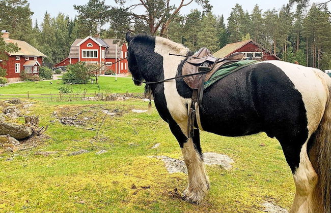 10 Person Holiday Home in Hedesunda - Foto 12