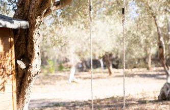 Chaihoutes stone House and Villa into Olive farm in Zia - Photo 101