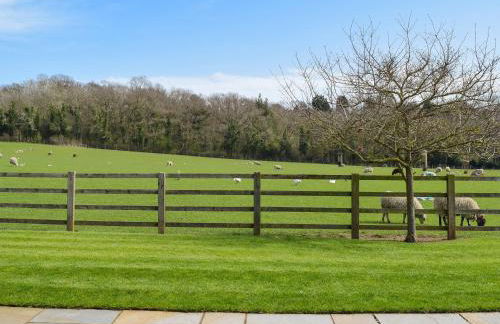 The Warren - Foto 22