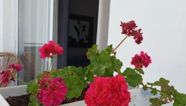 Casa Esterlita - Photo 3